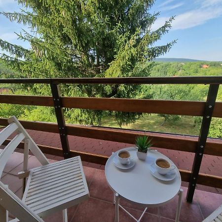 Hoopovo House Fruska Gora Villa Irig Buitenkant foto