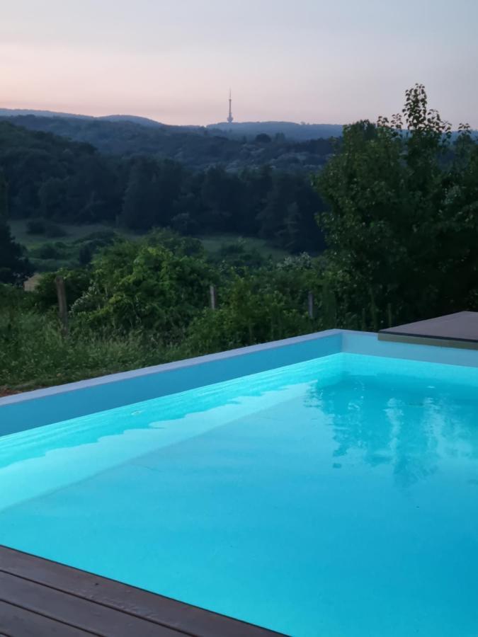 Hoopovo House Fruska Gora Villa Irig Buitenkant foto